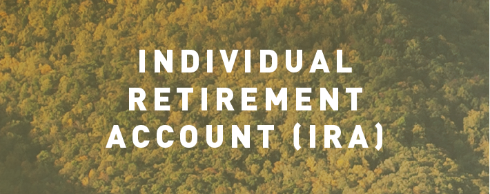 Individual Retirement  Account _IRA_.png